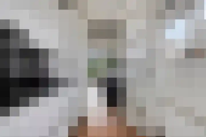 Grasbaan 68 Eindhoven thumbnail 18