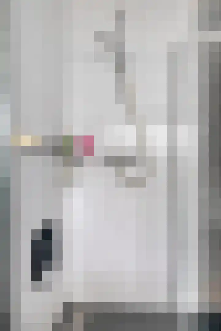 Grasbaan 68 Eindhoven thumbnail 23