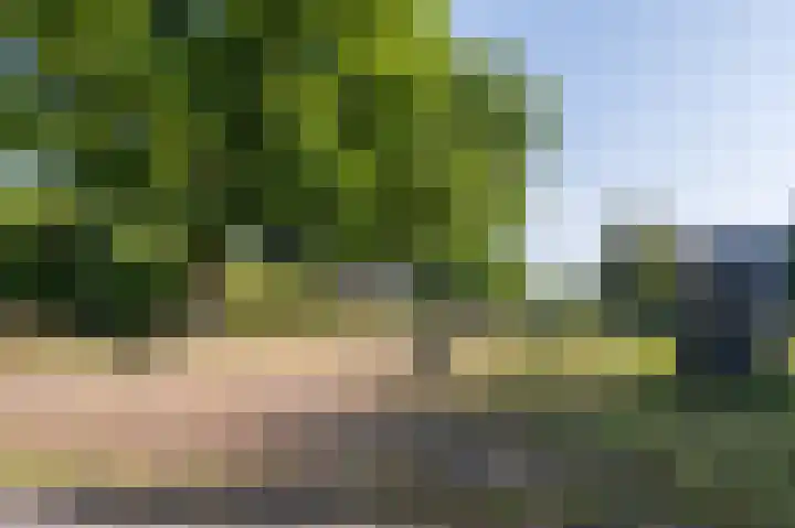 Grasbaan 76 Eindhoven thumbnail 36
