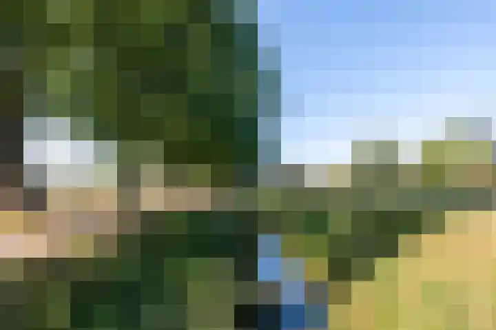 Grasbaan 76 Eindhoven thumbnail 37