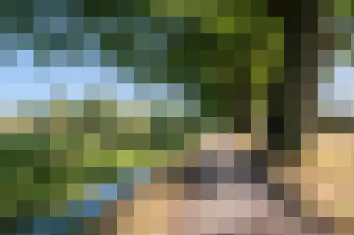 Grasbaan 76 Eindhoven thumbnail 38