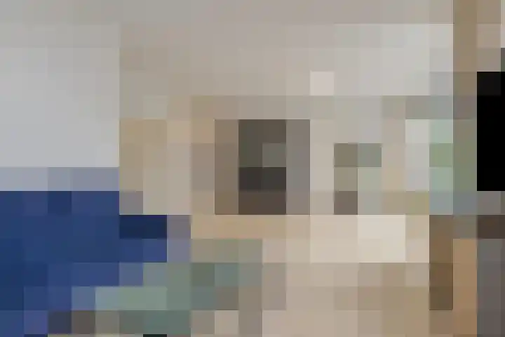 Grasbeemd 16 Eindhoven thumbnail 11