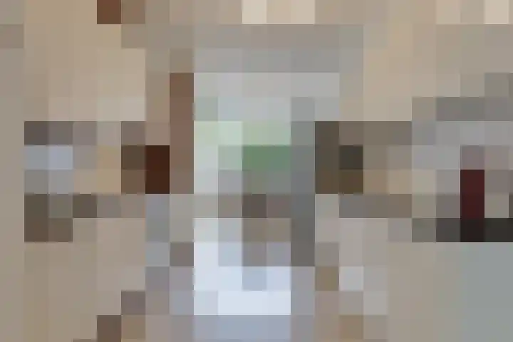 Grasbeemd 16 Eindhoven thumbnail 14