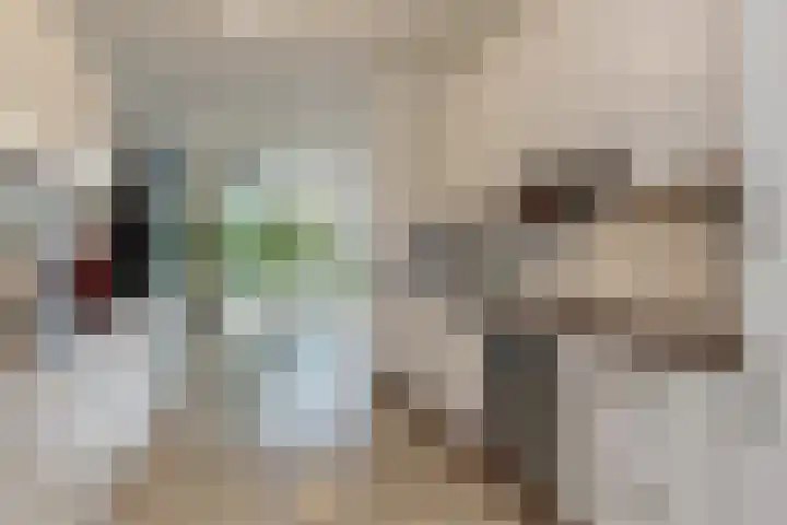 Grasbeemd 16 Eindhoven thumbnail 15