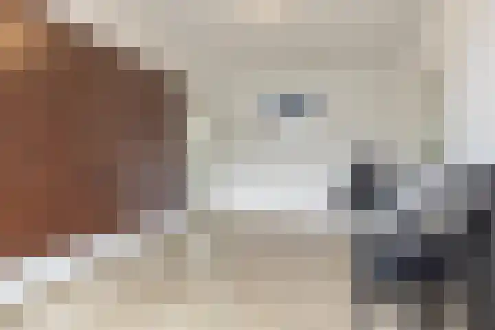 Grasbeemd 16 Eindhoven thumbnail 18