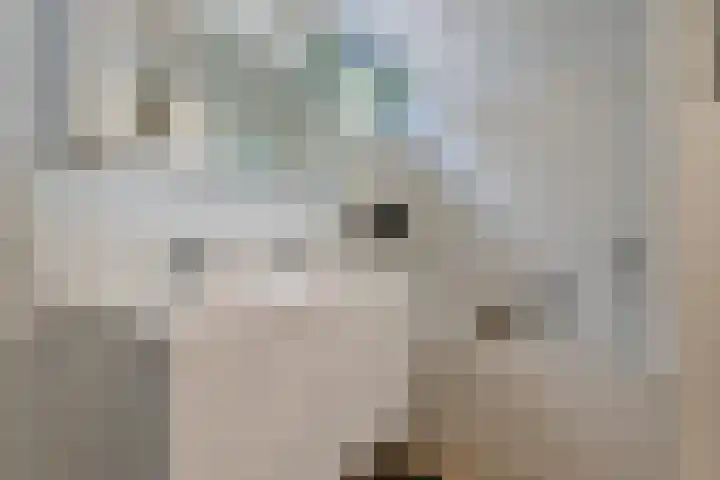 Grasbeemd 16 Eindhoven thumbnail 23