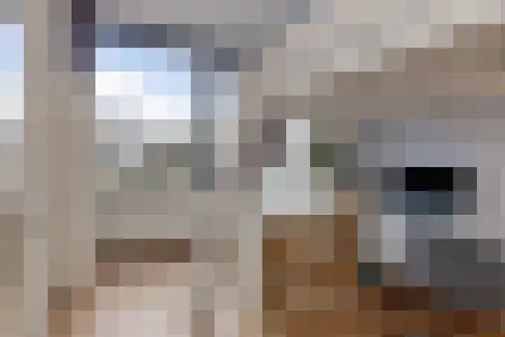Grasbeemd 16 Eindhoven thumbnail 25