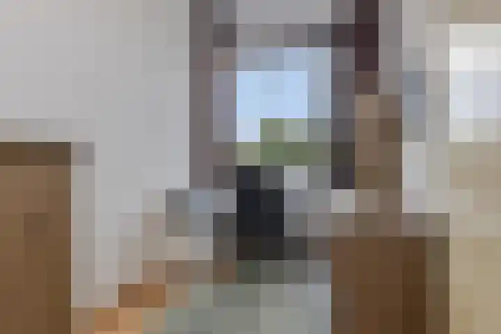 Grasbeemd 16 Eindhoven thumbnail 26