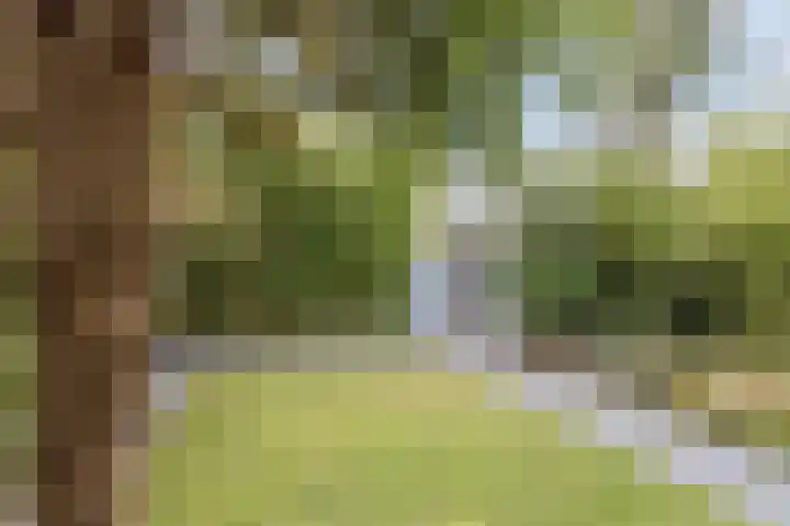 Grasbeemd 16 Eindhoven thumbnail 33
