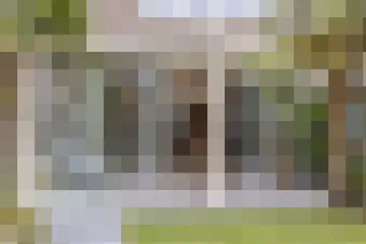 Grasbeemd 16 Eindhoven thumbnail 35
