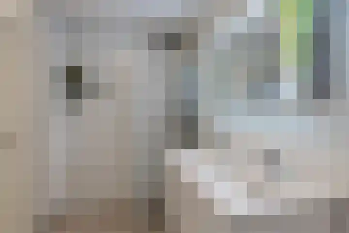 Grasbeemd 16 Eindhoven thumbnail 4