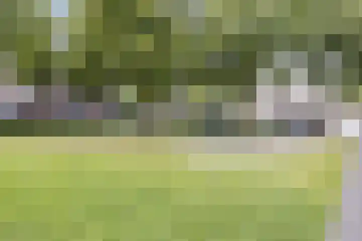 Grasbeemd 16 Eindhoven thumbnail 40