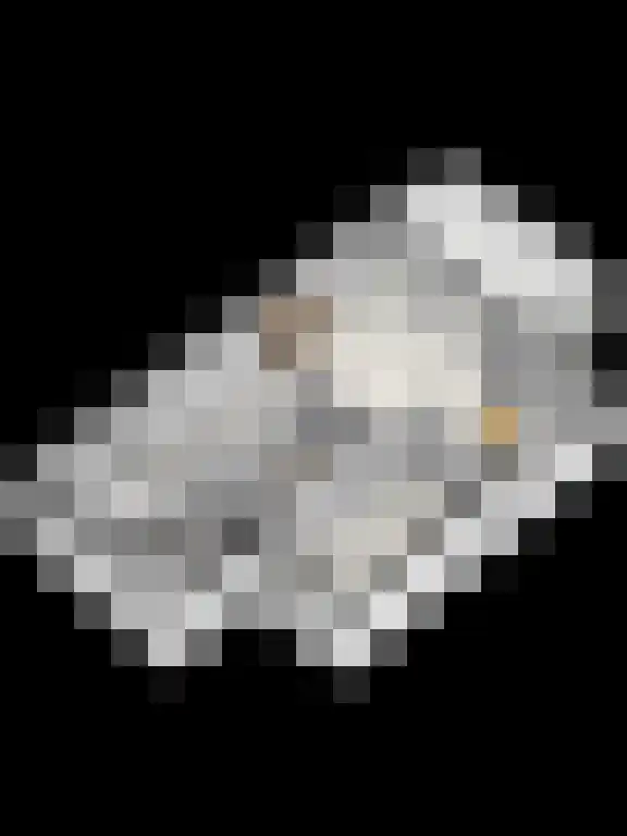 Grasbeemd 16 Eindhoven thumbnail 46