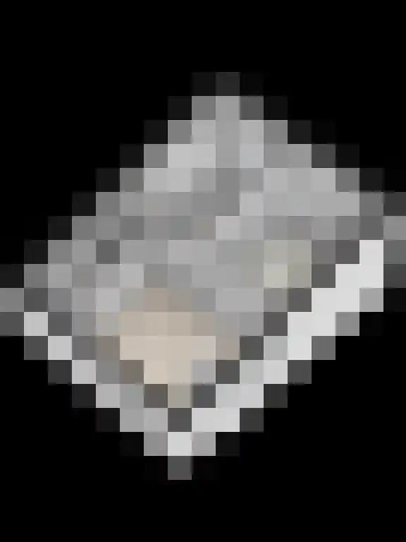 Grasbeemd 16 Eindhoven thumbnail 49