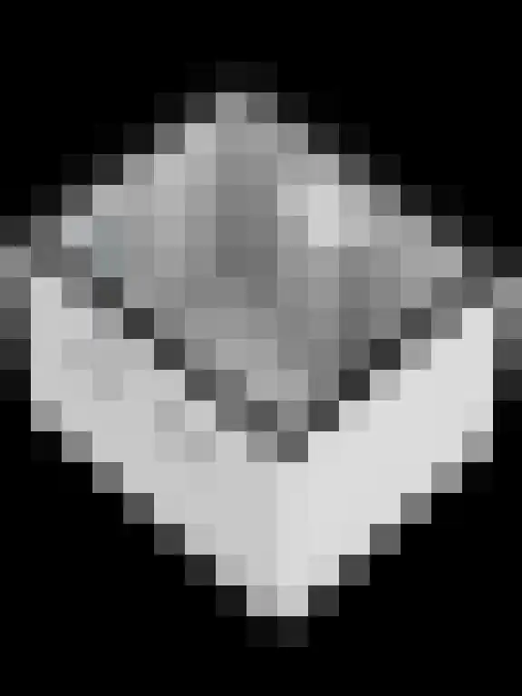 Grasbeemd 16 Eindhoven thumbnail 50