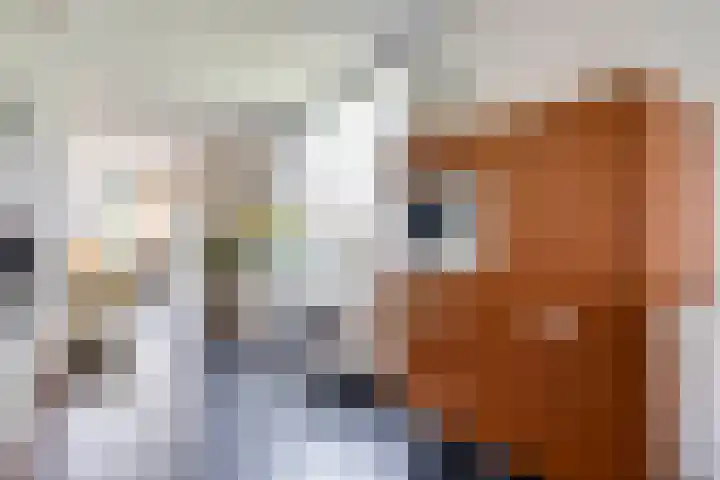 Grasbeemd 2 Eindhoven thumbnail 13