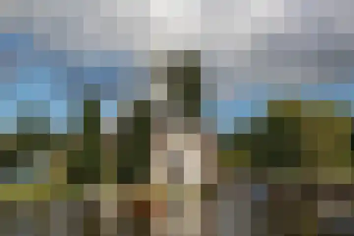 Grasbeemd 2 Eindhoven thumbnail 16