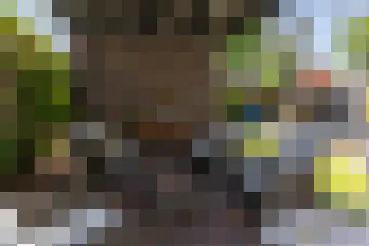 Grasbeemd 2 Eindhoven thumbnail 38