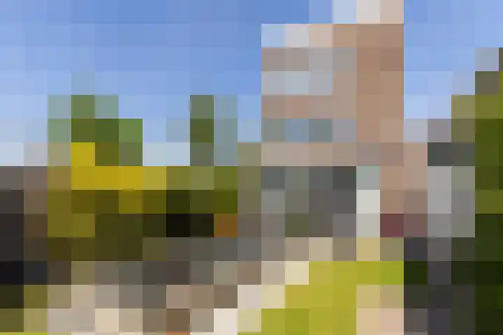 Grasbeemd 2 Eindhoven thumbnail 40