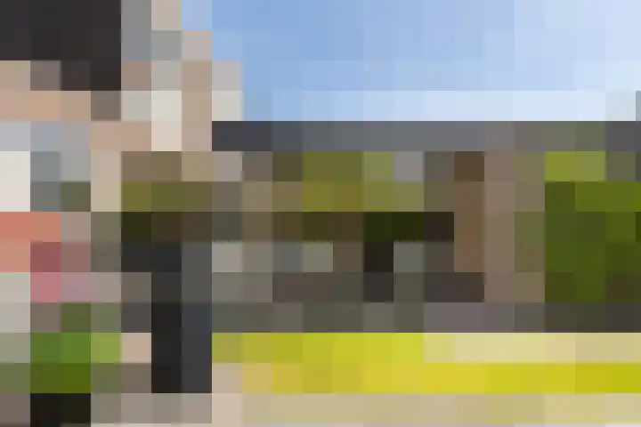 Grasbeemd 2 Eindhoven thumbnail 41