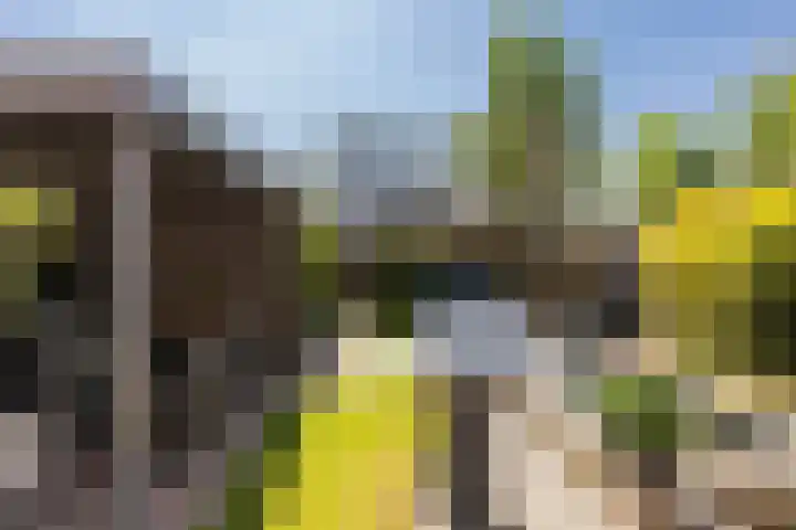 Grasbeemd 2 Eindhoven thumbnail 43