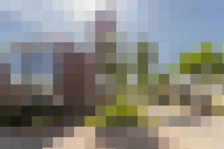 Grasbeemd 2 Eindhoven thumbnail 48