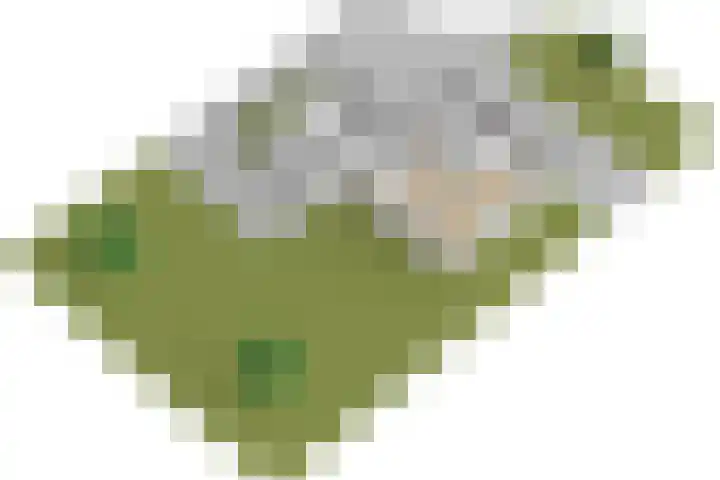 Grasbeemd 2 Eindhoven thumbnail 53