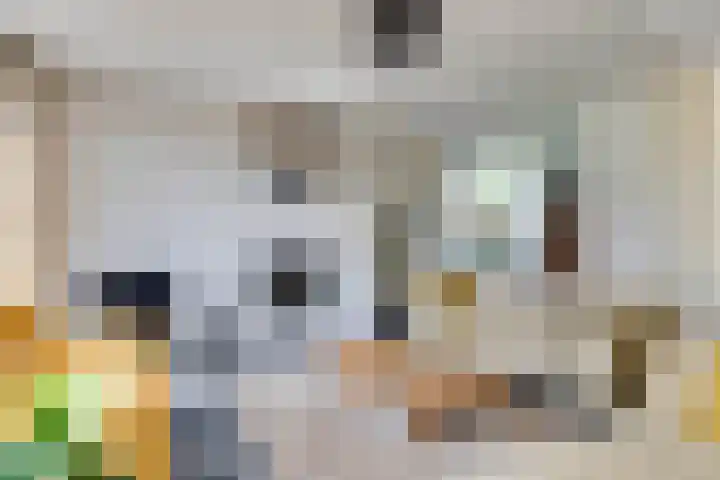 Grasbeemd 2 Eindhoven thumbnail 6