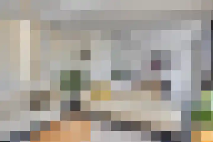 Grasbeemd 2 Eindhoven thumbnail 7