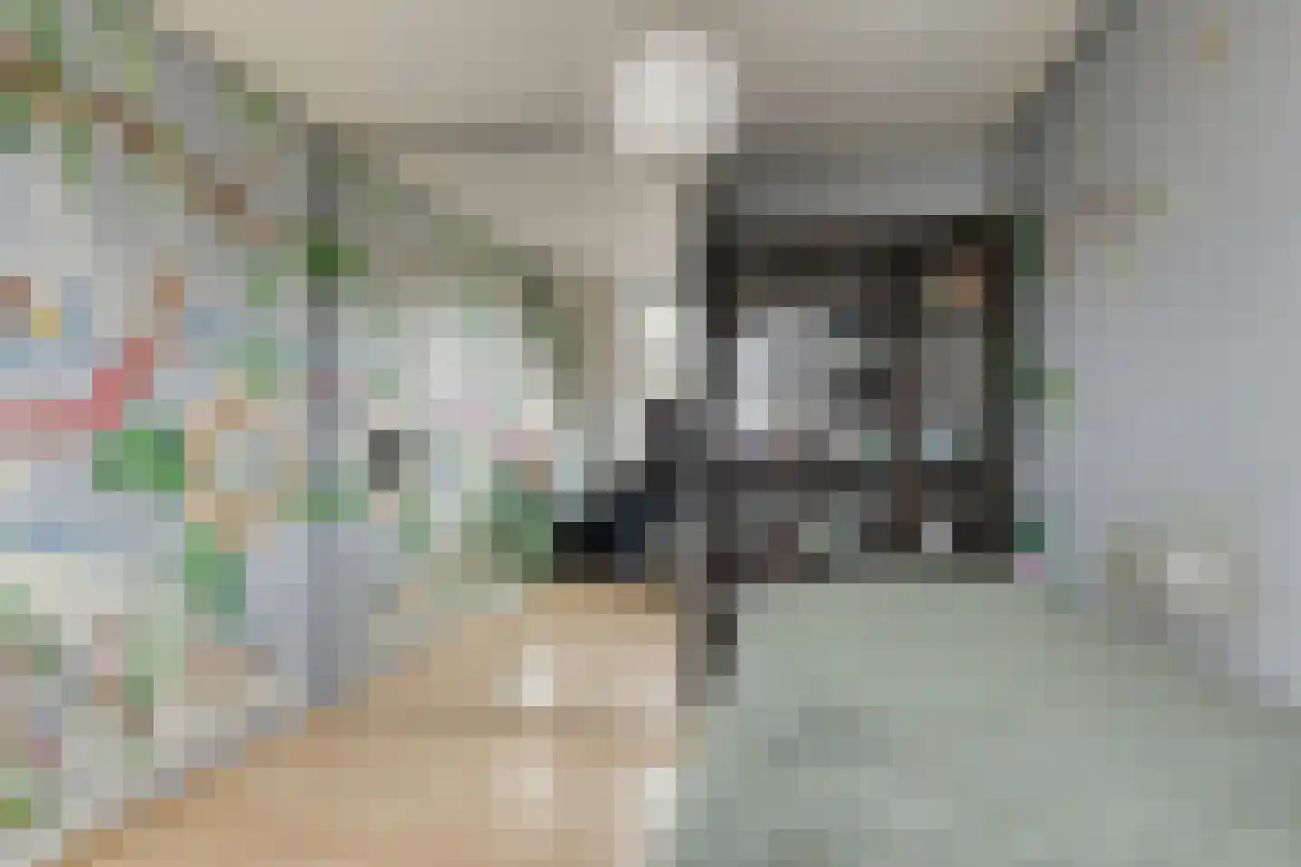 Grasbeemd 28 Assen thumbnail 24