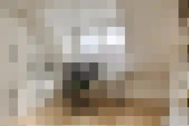 Grasbeemd 28 Assen thumbnail 26