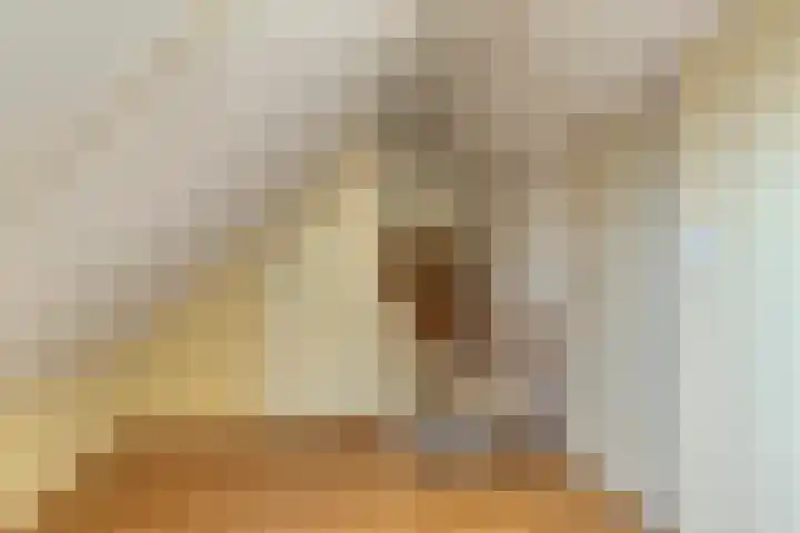 Grasbeemd 28 Assen thumbnail 27