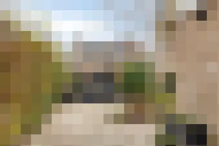 Grasbeemd 28 Assen thumbnail 31
