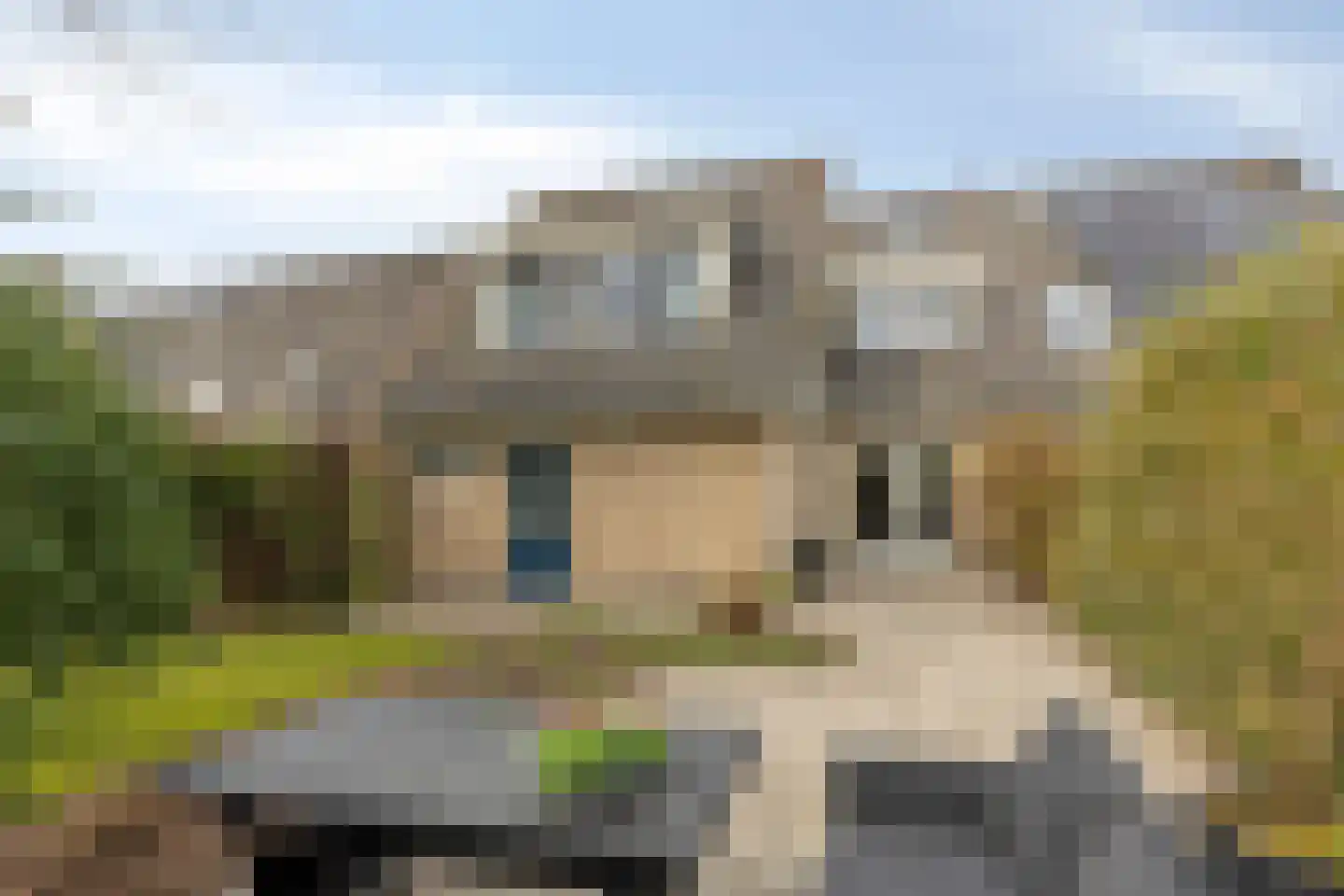 Grasbeemd 28 Assen thumbnail 33