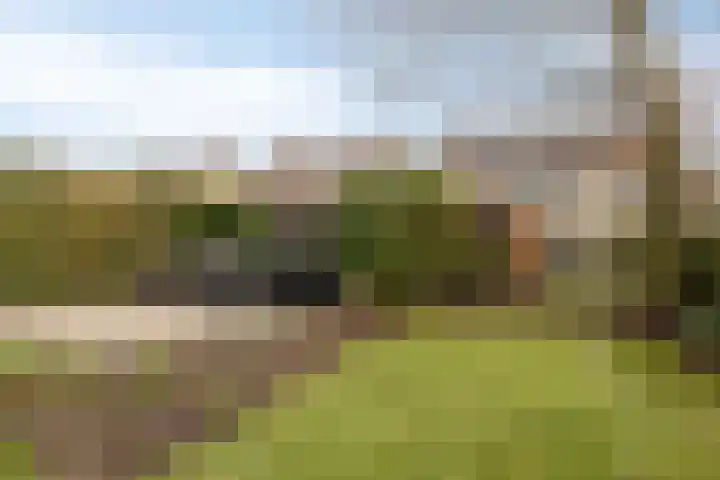 Grasbeemd 28 Assen thumbnail 35