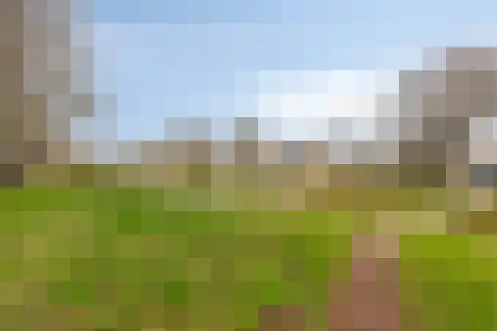 Grasbeemd 28 Assen thumbnail 41