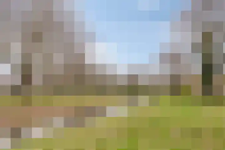 Grasbeemd 28 Assen thumbnail 42