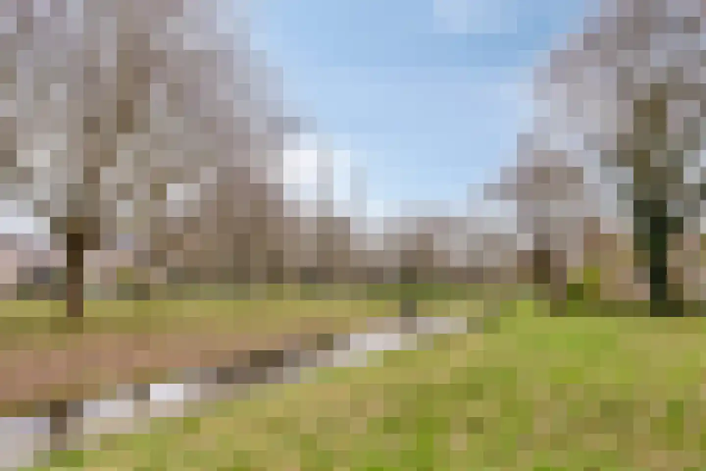 Grasbeemd 28 Assen thumbnail 42