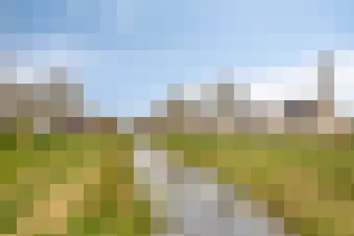 Grasbeemd 28 Assen thumbnail 43