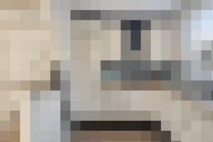 Grasbeemd 3 Oosterhout thumbnail 10