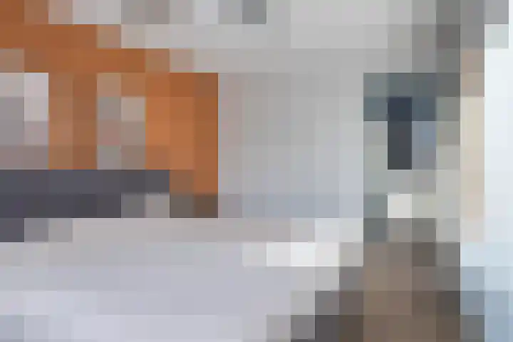 Grasbeemd 3 Oosterhout thumbnail 14