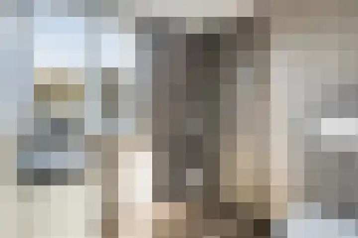Grasbeemd 3 Oosterhout thumbnail 19