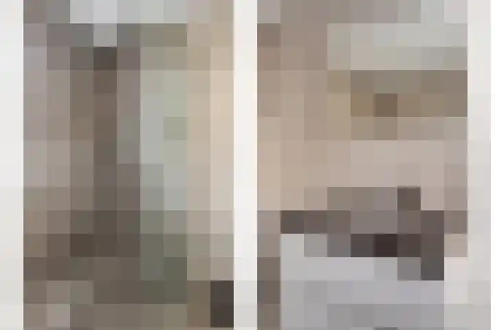 Grasbeemd 3 Oosterhout thumbnail 20