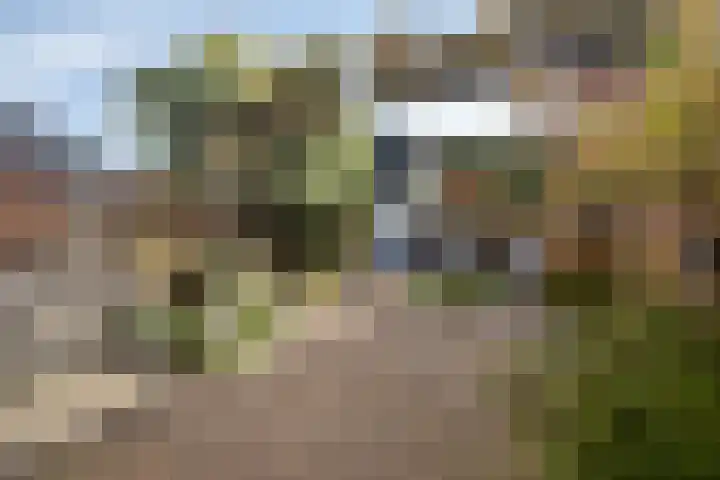 Grasbeemd 3 Oosterhout thumbnail 24