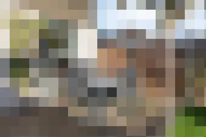 Grasbeemd 3 Oosterhout thumbnail 25