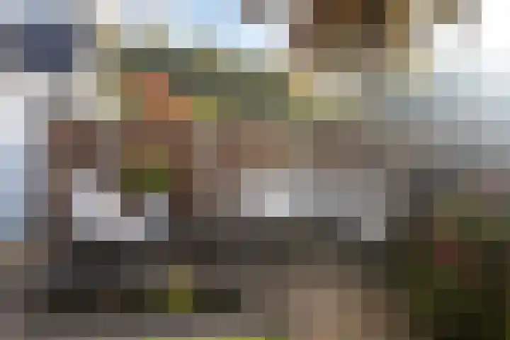 Grasbeemd 3 Oosterhout thumbnail 26