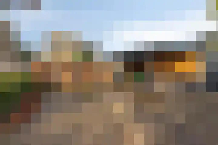 Grasbeemd 3 Oosterhout thumbnail 27
