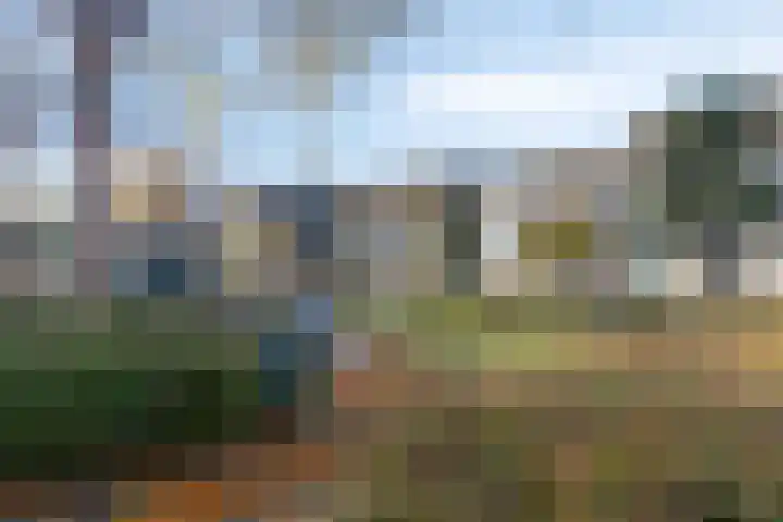 Grasbeemd 3 Oosterhout thumbnail 29