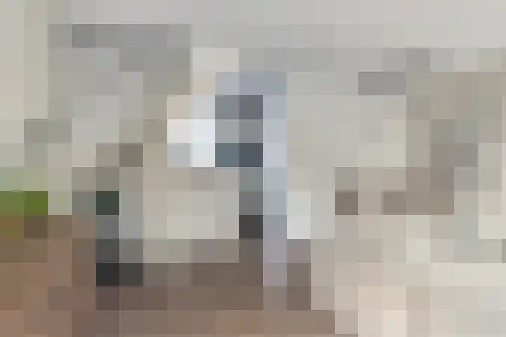 Grasbeemd 3 Oosterhout thumbnail 5