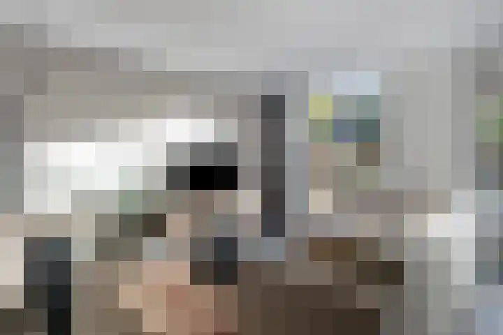 Grasbeemd 3 Oosterhout thumbnail 7